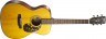 acoustic-guitar-smaller-deck-upper-deck-made-of-solid-red-spruce-solidqk.jpg