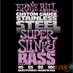 Ernie Ball 2844