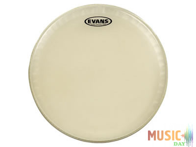 Evans CT14SS
