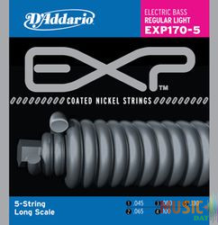 D`ADDARIO EXP-170-5