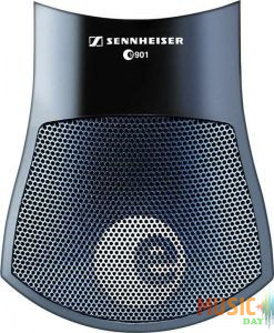 Sennheiser E 901