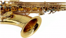 Brasspire BPT1-GL Саксофон тенор, клапан верхнего F#, фронтальная F механика, покрытие золотой лак, полужесткий кейс