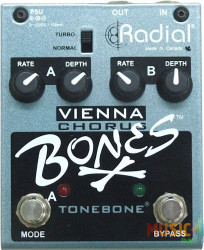Radial Bones Vienna