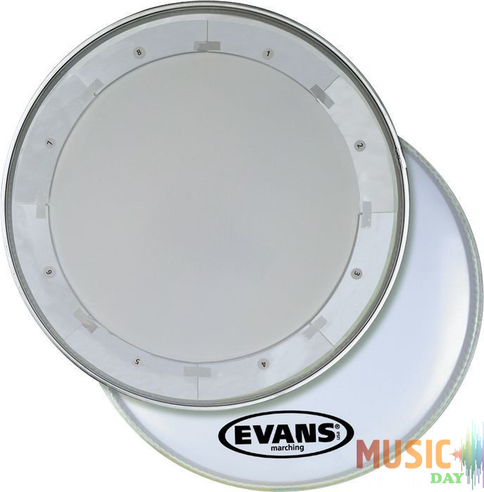 Evans BD28MX1W MX1 28"