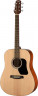 Walden D350W акустическая гитара с чехлом