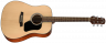 Walden D450W акустическая гитара