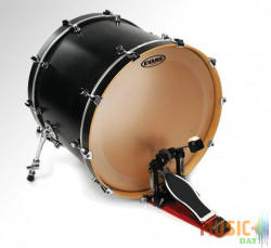 Evans BD22GB4C EQ4 Frosted 22"