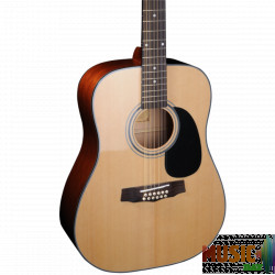 Fina Guitars FD-802